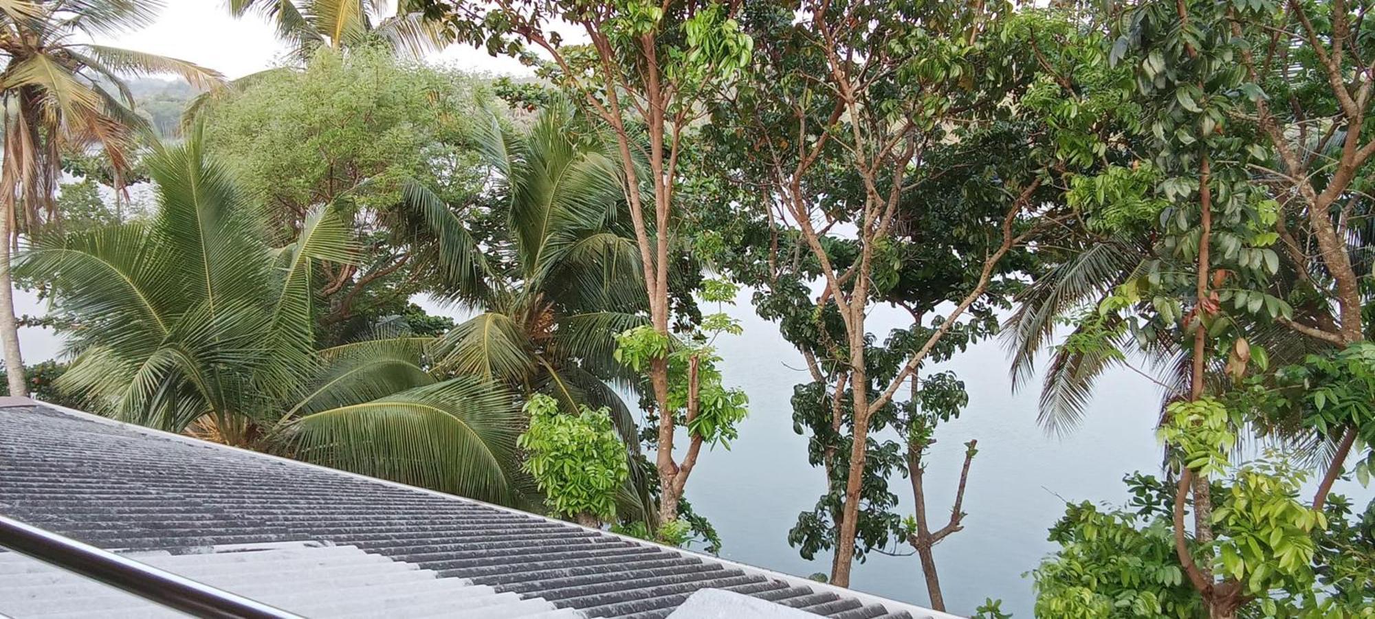 The Green Lagoon Villa Hikkaduwa Bagian luar foto