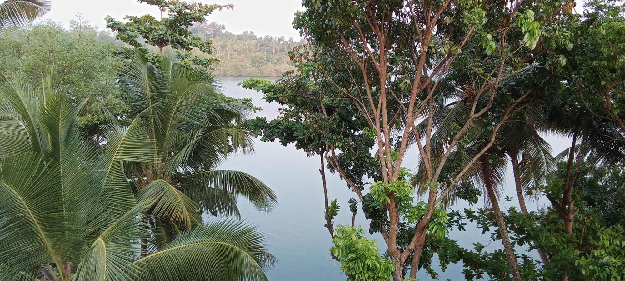 The Green Lagoon Villa Hikkaduwa Bagian luar foto