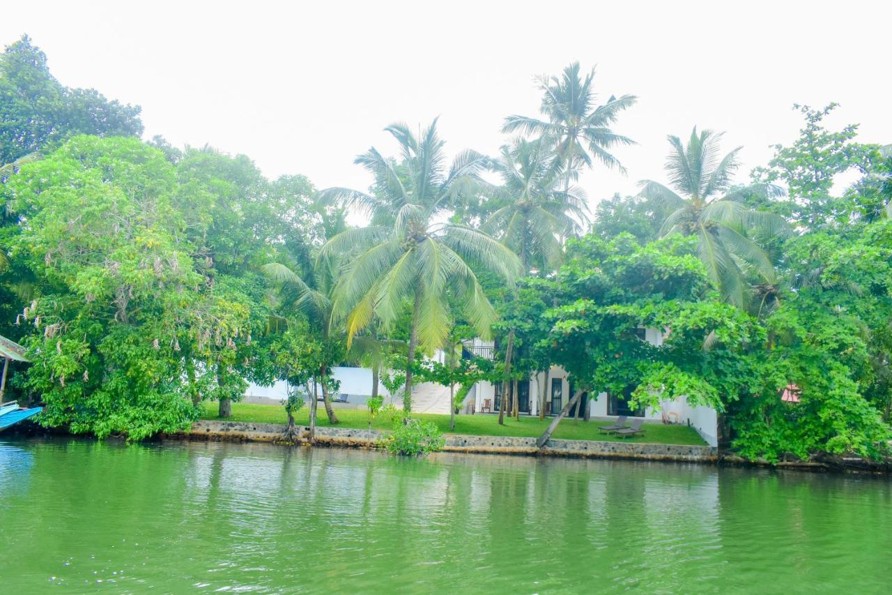The Green Lagoon Villa Hikkaduwa Bagian luar foto